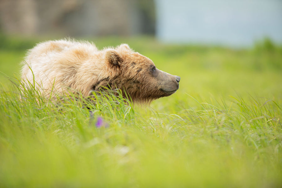 Photographing the Backcountry with Jerry Herrod