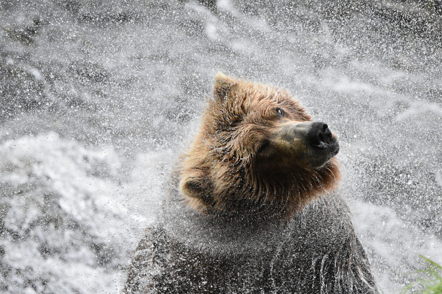 Photographing the Backcountry with Melissa Meade