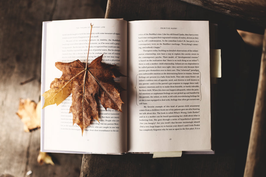 10 Survival Books for the Adventure Obsessed